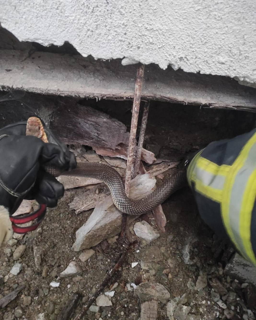 Yılanları mıknatıs gibi çeken 4 nokta belli oldu! Evinde olanlar dikkat - Resim: 10